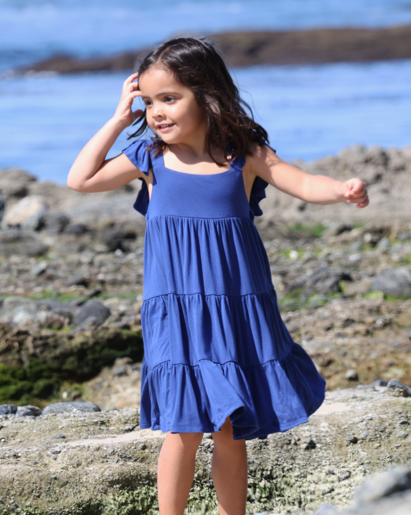 Earhart Dress - Blue