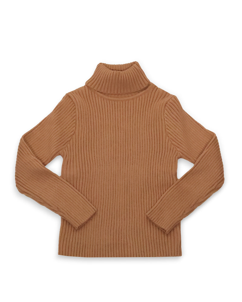 The Cloud Turtleneck Sweater - Brown
